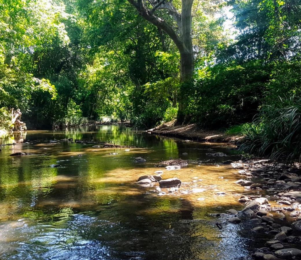 Bindu Homestay Wellawaya Bagian luar foto