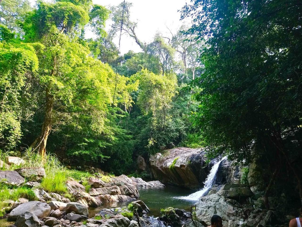 Bindu Homestay Wellawaya Bagian luar foto